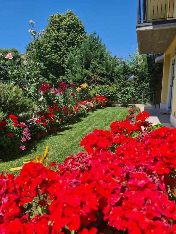 Casa Andre Apartment Pescantina Exterior photo